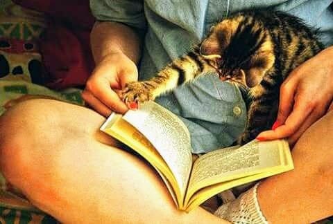 Domn educat, divortat, doresc relatie serioasa.