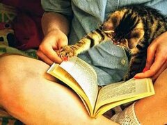 Domn educat, divortat, doresc relatie serioasa
