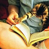 Domn educat, divortat, doresc relatie serioasa